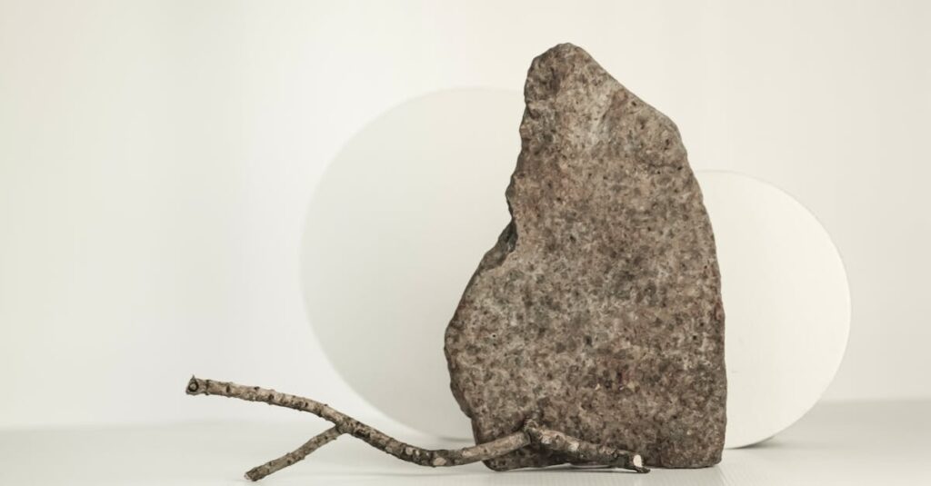 pexels-photo-30977542-30977542 Artistic minimalist photo featuring a stone and stick on a clean background.